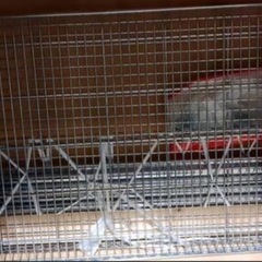 メタルラックセットの画像