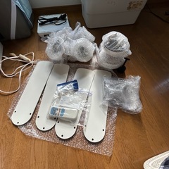 シーリングファン、ライト