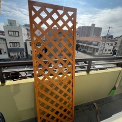 《取引決定》ラティス