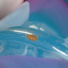 ホーロー製/保存容器・保存バケツ・30センチ・中古品/現状渡し/2か所傷有の画像