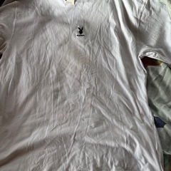 プレーボーイ　Ｔシャツ未使用品値下げしました