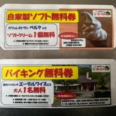 ヨーデルの森チケット　無期限
