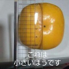 平柿　渋抜き済　直ぐに食べられます1個50円. 60個で2500円　全部で60個ありますの画像