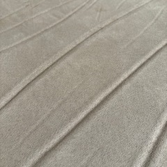【キャンプ】インフレーターマットの画像