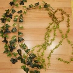 植物飾り