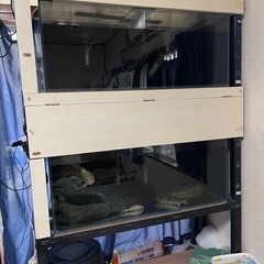取り引き中！水槽二つ＋水槽台セット