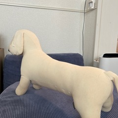 ミニチュアダックス