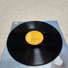 サリナ・ジョーンズ  LPレコードの画像