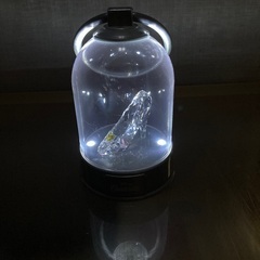 ラプンツェル　ランタン、シンデレラ　ランタンの画像