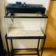 60㎝水槽セット
