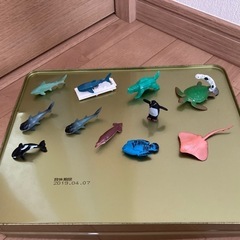 海洋生物フィギュア 11体セット 恐竜おまけ　1体