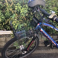 小学生（男）自転車　アサヒ　セドナSEDONA　22インチ（使用頻度低）の画像
