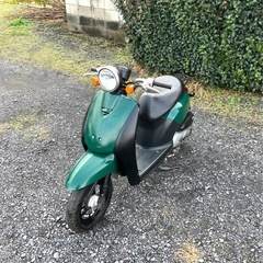 945.　動画あり　ホンダ　トゥデイ AF61 原付　バイク　5...