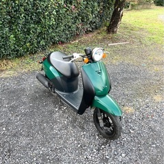 945.　動画あり　ホンダ　トゥデイ AF61 原付　バイク　50cc   車体　埼玉の画像