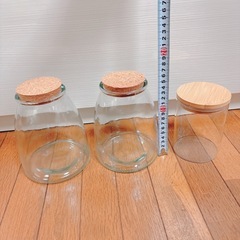 決まりました😊大きな空瓶 3つ 苔リウムにどうですか？