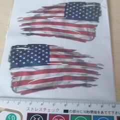 【希少】2 American Reverse USA Tattered Flagの画像