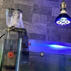 海水水槽器具・中身一式の画像