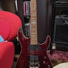 『受け渡し決定』schecter DAMIEN ELITE FR