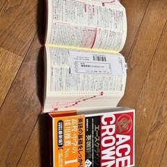 エースクラウン英和辞典

