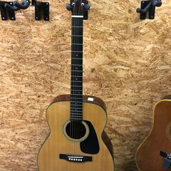 ★モーリス Morris アコースティックギター MF-201N...