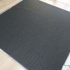 電気カーペット