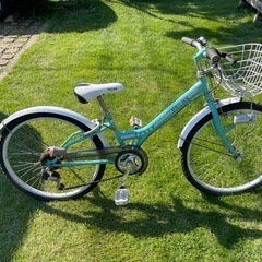 女子用自転車　PECHE 24インチ