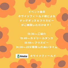2024/11/24A-KICHIわんわんマルシェ【出演演目紹介】ドッグダンスお披露目 - 諫早市