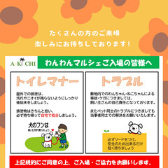 2024/11/24A-KICHIわんわんマルシェ【出演演目紹介】ドッグダンスお披露目 - フリーマーケット