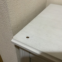 下駄箱として使用していた収納　の画像