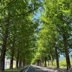 11月20日（水）京都市内発～篠山方面ハンバーガーツーリング企画...