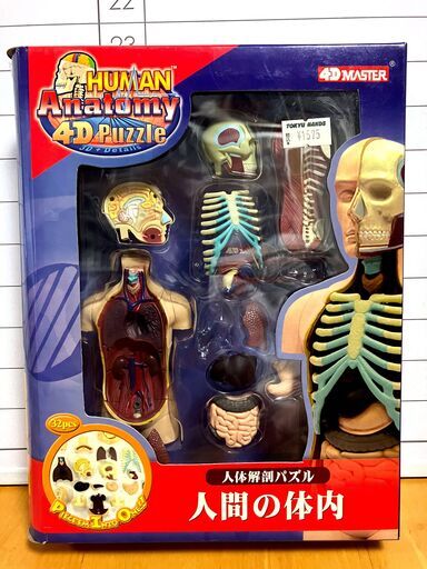 人体解剖パズル シリーズ3コセット (完成品)