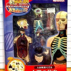 人体解剖パズル シリーズ3コセット (完成品)