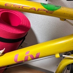 escape GIANT R3Wの画像