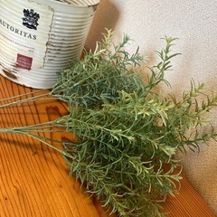 ローズマリー🌱グリーン&クリームグリーンの画像