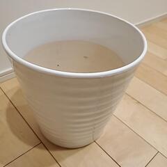 【決まりました！】陶器の植木鉢の画像