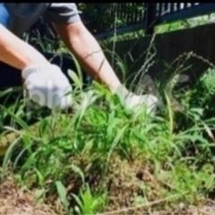 【草むしりをお願いします】