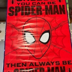 スパイダーマン&スーパーマン　パネル