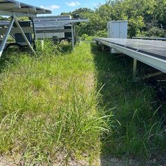 【県内の草刈り業務🌱☀️】交通費支給！直行直感可能！シニア歓迎！