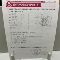 理科ドリル　中1の画像