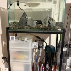 60センチ　水槽セット