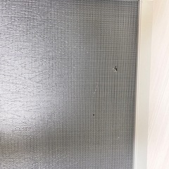 爬虫類飼育ケージ縦型の画像