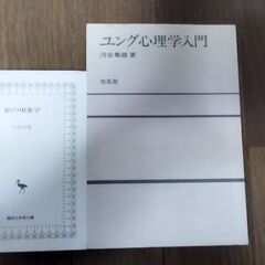 ユング心理学入門　影の現象学 