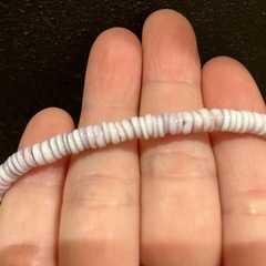 貝のネックレス🐚の画像