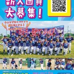 小学生女子ソフトボールチーム団員募集です！