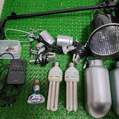 爬虫類 飼育用品一式 水槽 ヒーター ライト レイアウト素材など 両生類 虫などにも の画像