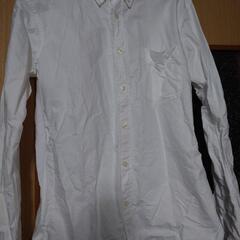 無印良品ボタンダウンオックスフォードシャツの画像