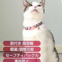 猫の首輪6個セット＆犬猫シャンプーブラシ