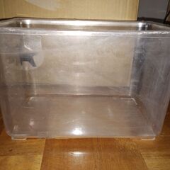 DAISO飼育ケース　隔離用に。30×20×20.5㎝