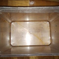 DAISO飼育ケース　隔離用に。30×20×20.5㎝の画像