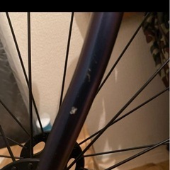 廃盤カラー　Fuji feather ピストの画像